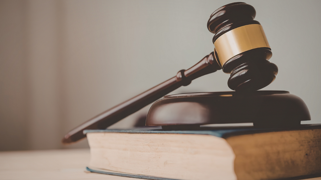 Family Integrity Under the Fourteenth Amendment: Your Right to Be a Parent in Arkansas